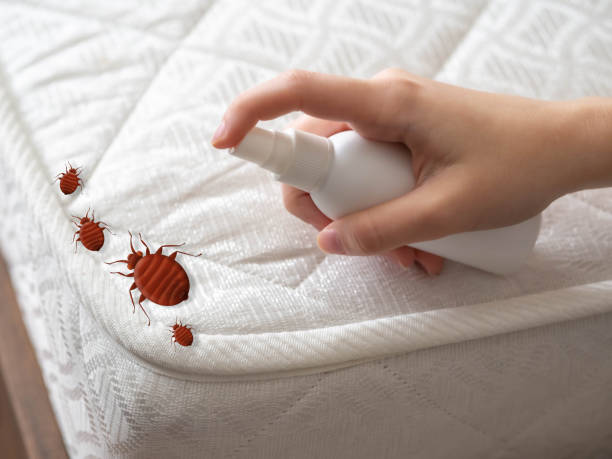 Best Emergency Pest Control  in St Michael, MN